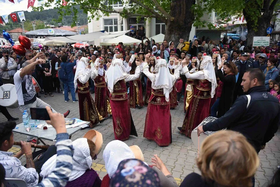 Kuzu Göbeği Mantar Festivali