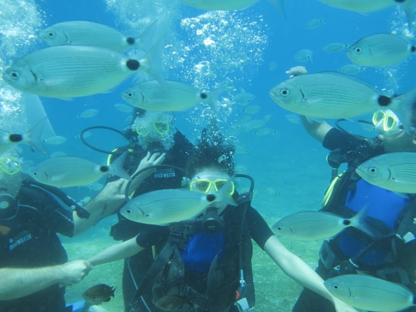 Fethiye T&uuml;pl&uuml; Dalış